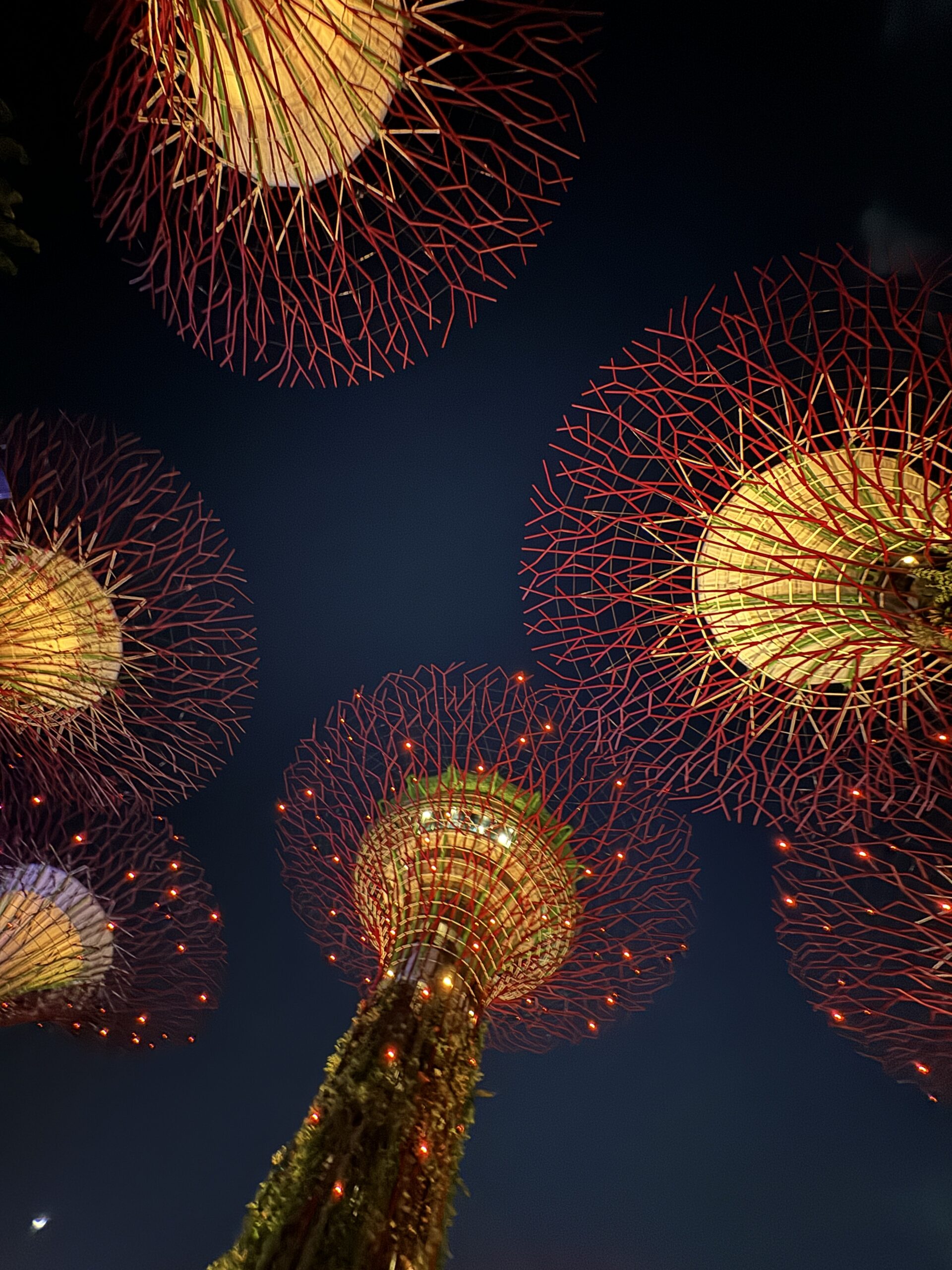 Gardens By The Bay