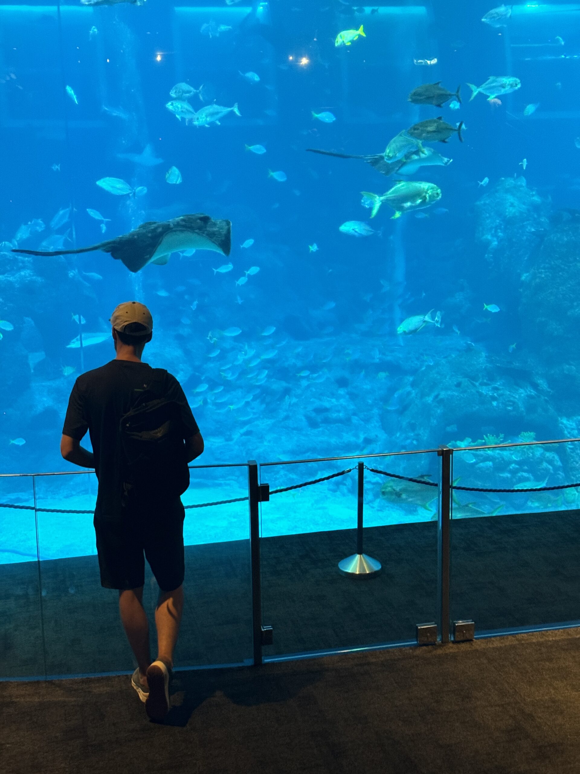 S.E.A Aquarium