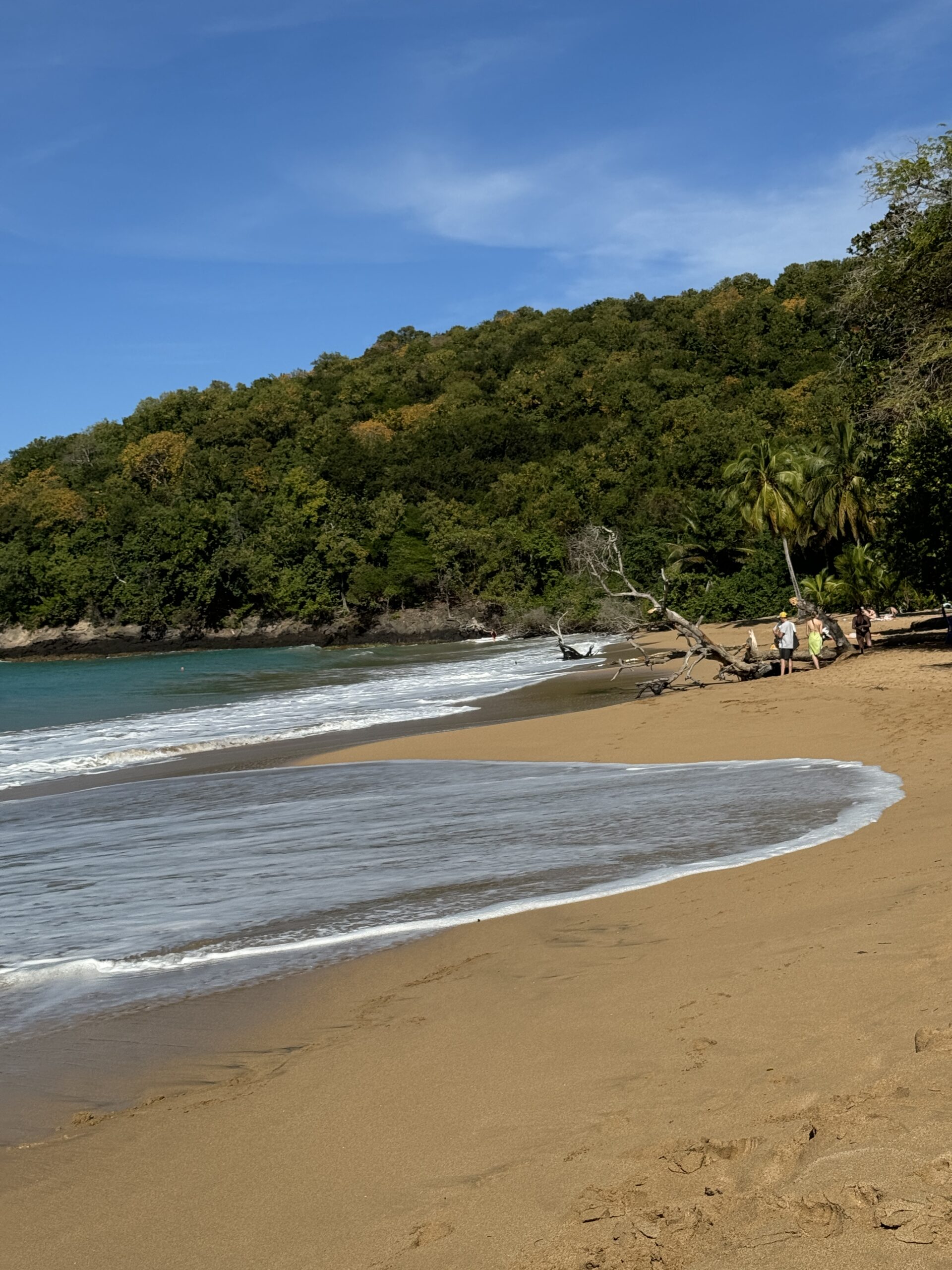 Plage de la Perle, Guadeloupe